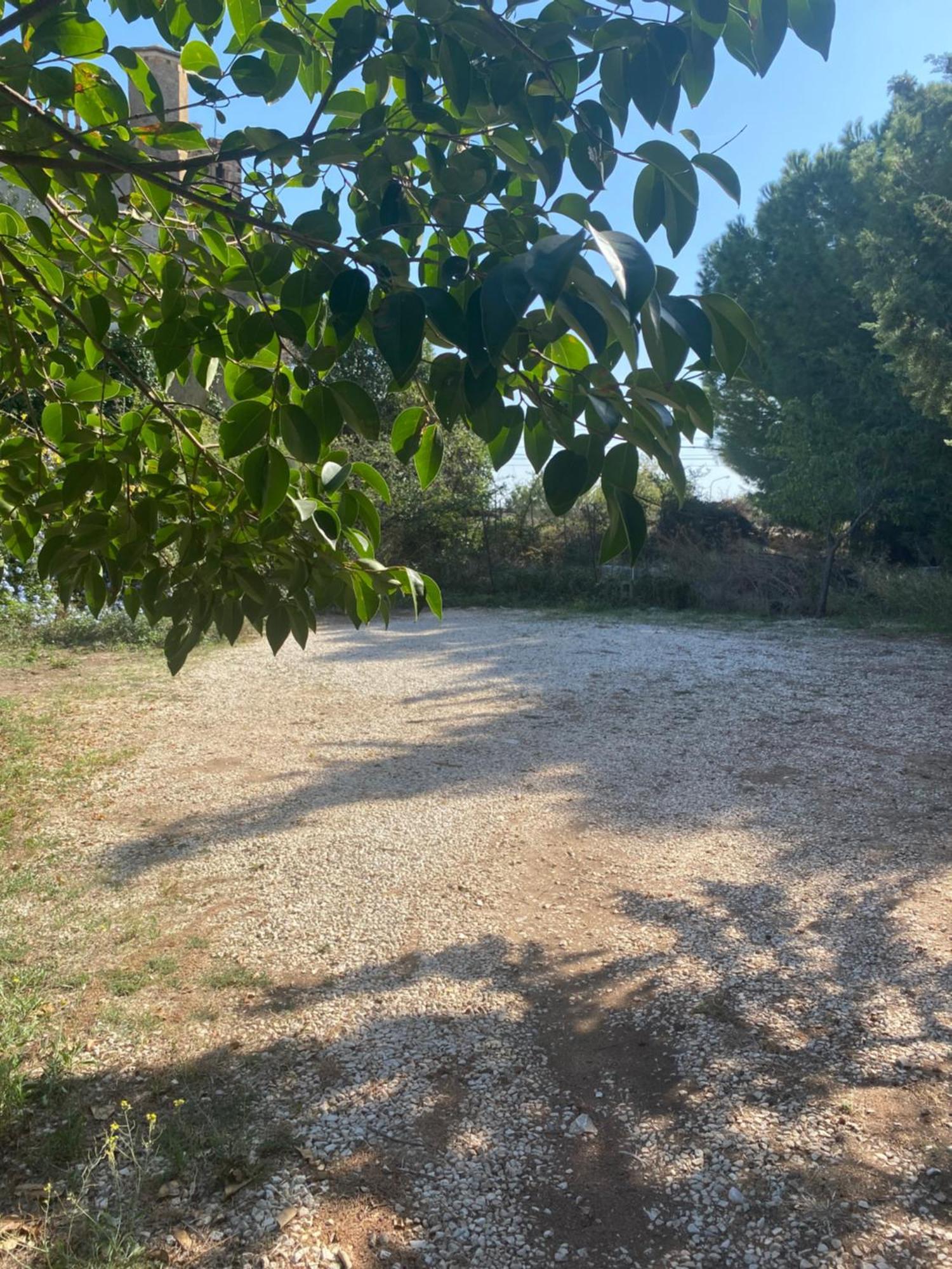 鲁沃迪普利亚Albarosa住宿加早餐旅馆 外观 照片